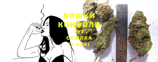 амф Протвино