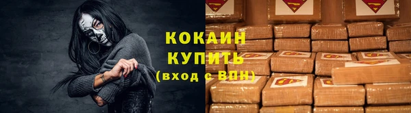 амф Протвино