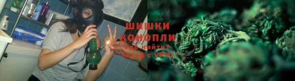 ПСИЛОЦИБИНОВЫЕ ГРИБЫ Приозерск