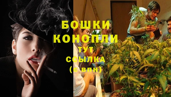 амф Протвино